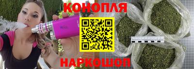 гидропоника Канаш