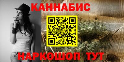 индика Кандалакша