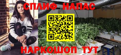 гидропоника Канаш
