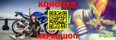 индика Кандалакша