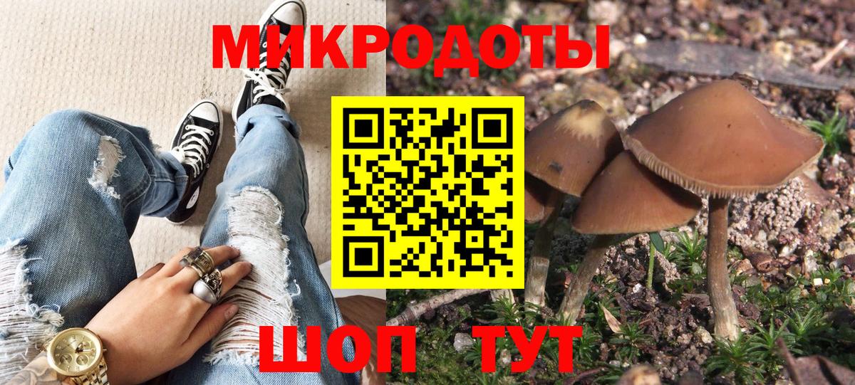 Псилоцибиновые грибы MAGIC MUSHROOMS  Вход с VPN  Зима 