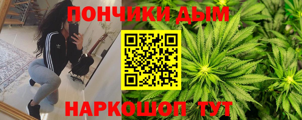 Марихуана ГИДРОПОН  Бошки марихуана OG Kush  Зима  Вход с VPN  Бошки марихуана Bruce Banner 